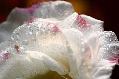 《无双深渊》追加全新攻克等级及破关后要素！来自《战国无双》系列的7名角色参战